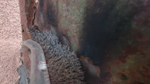 Brushing Old Rusty Gates Slow Motion Stock Footage 195887592