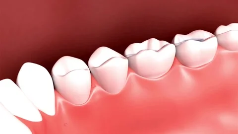 Brushing Teeth for Oral Hygiene 스톡 동영상 301610034