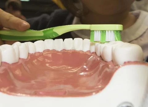 Brushing with toothbrush and toothpaste Stock Photos
