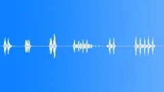 BRUSH,SCRUBSound Effect