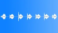 BRUSH,WIRE Sound Effect