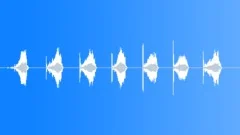 BRUSH,WIRESound Effect