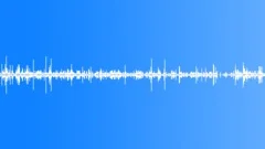 Brushwood rustling - looping Sound Effect