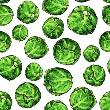 Brussel sprout hand drawn vector seamless pattern. Vegetable artistic style.. Stock Illustration