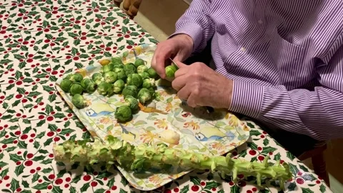 Brussel sprouts being prepared before cooking by elderly man Stock Footage 228454322