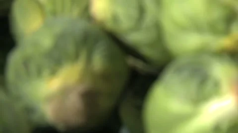  BRUSSEL SPROUTS  BEING PREPARED  ON A KITCHEN WORKTOP Vidéo 59005881