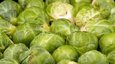 Brussel sprouts on a black background. Fresh, green and ripe brussel sprouts Stock Footage 165837645
