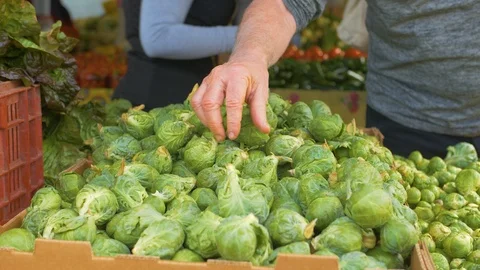 Brussel Sprouts Stock Footage 102080656