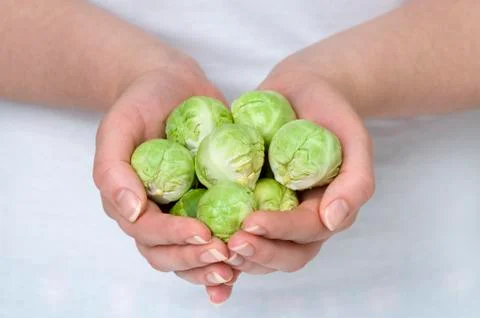 Brussel sprouts in hands Stock Photos