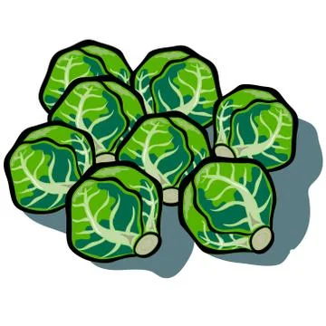Brussel Sprouts Stock Illustration