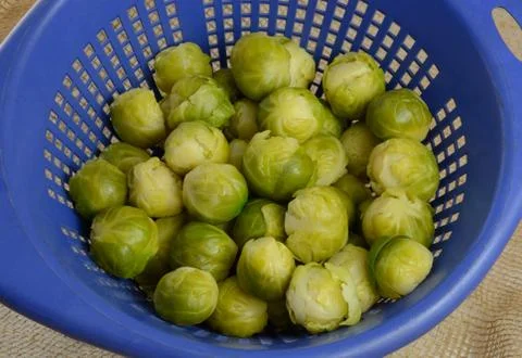 Brussel sprouts Stock Photos