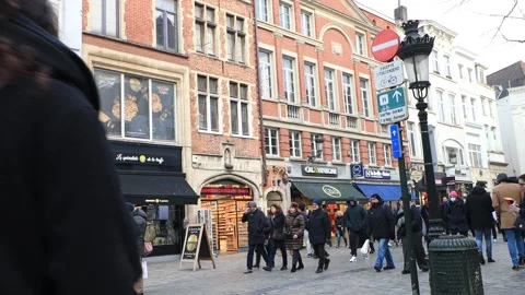 Brussels, Bruxelles, Brussel Stock Footage 233030630