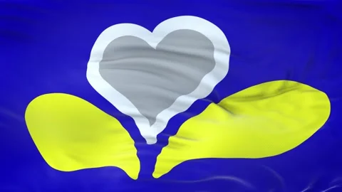 Brussels-Capital flag waving in the wind with highly detailed fabric texture 動画素材 134903330