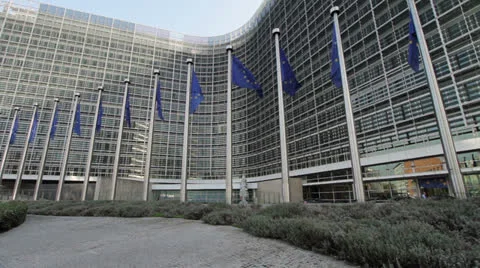 Brussels EU Flags 库存影片 22984150