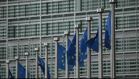 Brussels Euro flags 2 Video stock 10833605