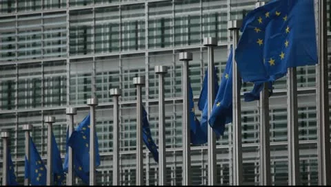 Brussels Euro flags Video stock 10833602