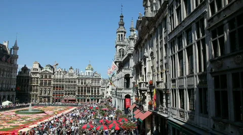 Brussels, Flower Carpet 2010 Stock Footage 810778
