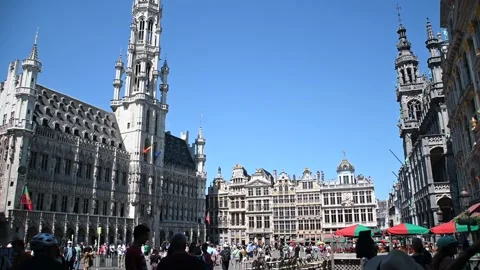 Brussels Grand Place Video stock 245380300