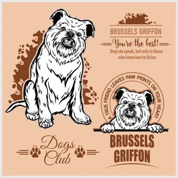Brussels Griffon - vector set for t-shirt, logo and template badges Stock Illustration