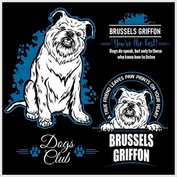Brussels Griffon - vector set for t-shirt, logo and template badges Stock Illustration