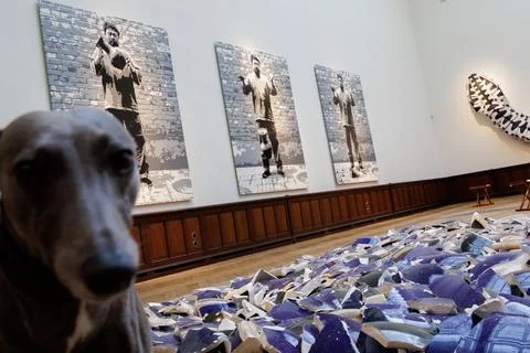 Brussels hosts the first major retrospective of Chinese artist Ai Weiwei, Belgiu Stock Photos