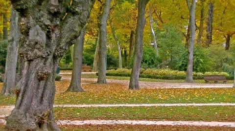 Brussels Park Stock Footage 26372571