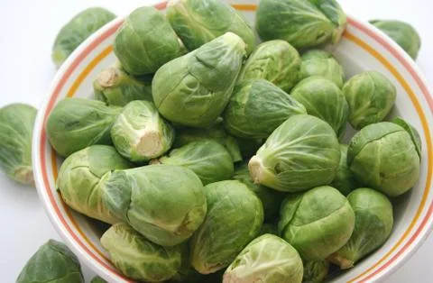 Brussels Stock Photos