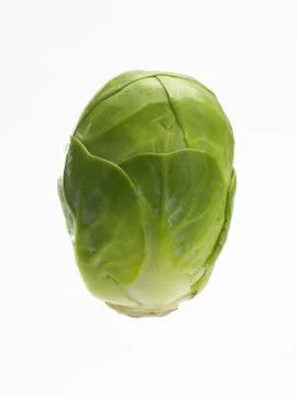 Brussels sprout Stock Photos