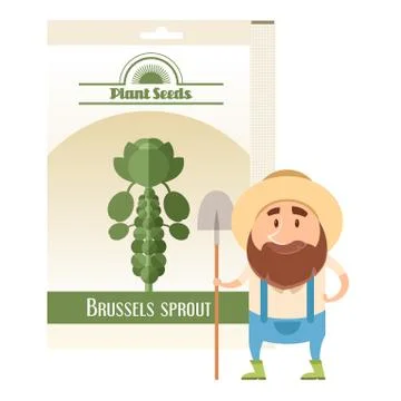 Brussels Sprout seed pack Illustrazione stock