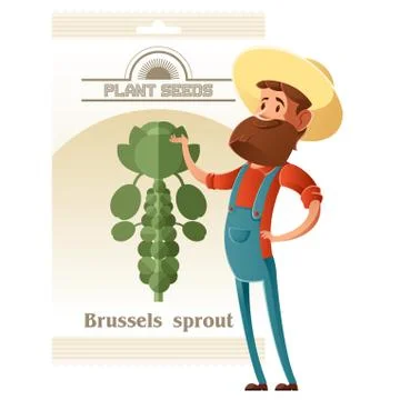 Brussels Sprout seed pack Stock Illustration