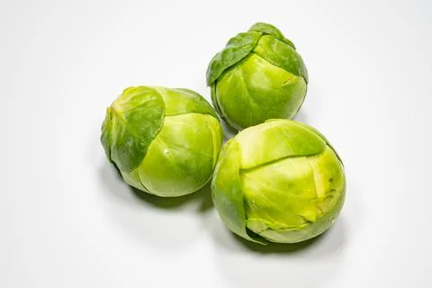 Brussels sprout with white background 写真素材