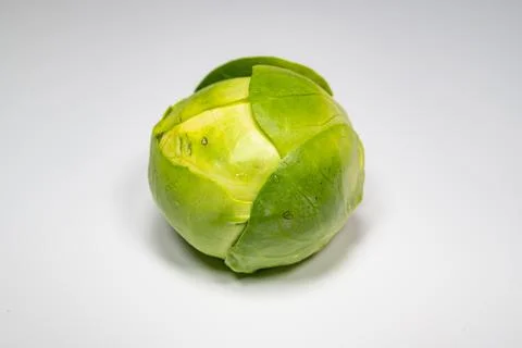 Brussels sprout with white background Stock Photos