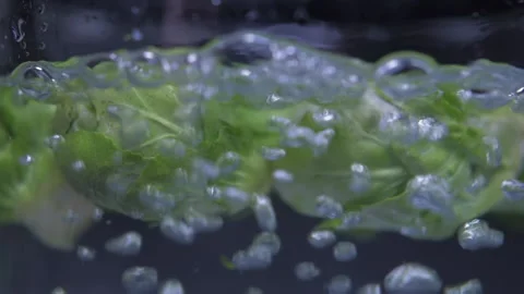 Brussels sprouts on boiling water pot  Video stock 149707726