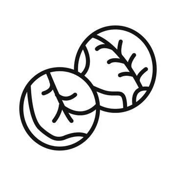 Brussels sprouts Cabbage icon Black line art vector Stock Illustration