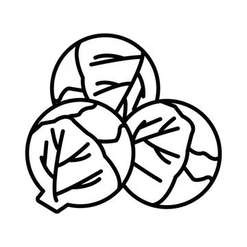 Brussels sprouts Cabbage icon linear logo mark in black and white Stock Illustration
