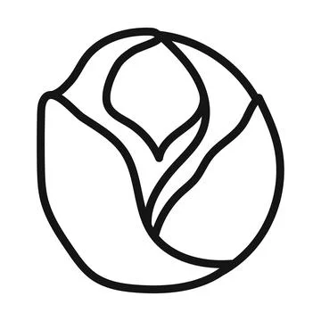 Brussels sprouts Cabbage icon mark in filled style Stock Illustration