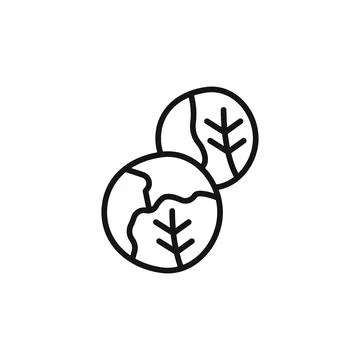 Brussels sprouts Cabbage icon outline collection in black and on white back.. Stock Illustration