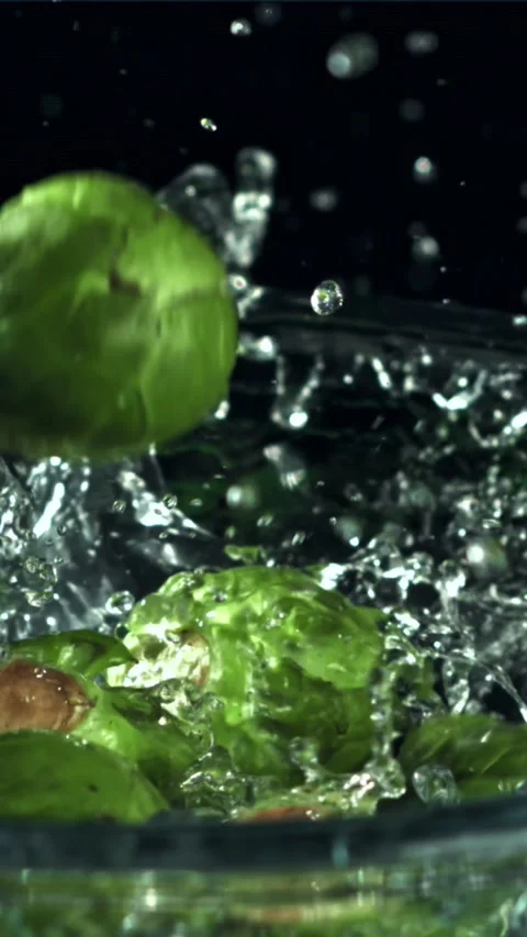 Brussels sprouts fall into the water. Filmed on a high-speed camera at 1000 fps Stock Footage 335313558