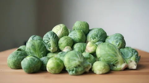 Brussels Block Stock Videos – Royalty-Free HD & 4K Videos