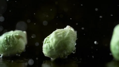 Brussels sprouts falling on water surface. Slow Motion. Stock Footage 79477152