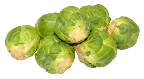 Brussels Sprouts Isolated Stock Photos