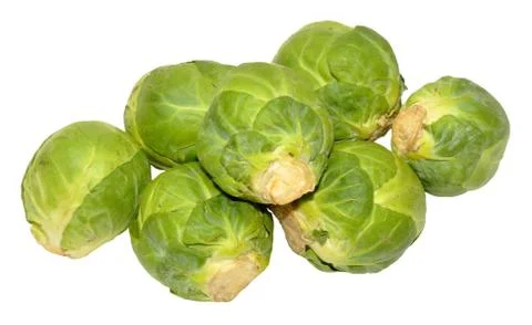Brussels Sprouts Isolated Stock Photos