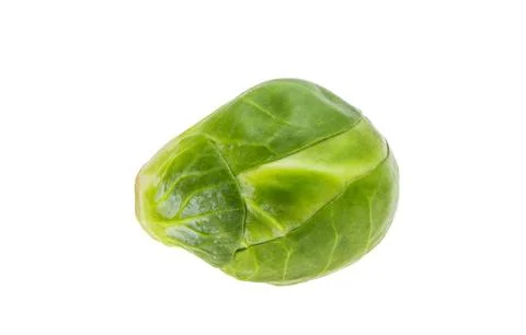Brussels sprouts isolated Stock Photos
