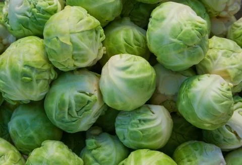 Brussels sprouts Stock Photos
