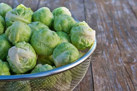 Brussels sprouts Stock Photos