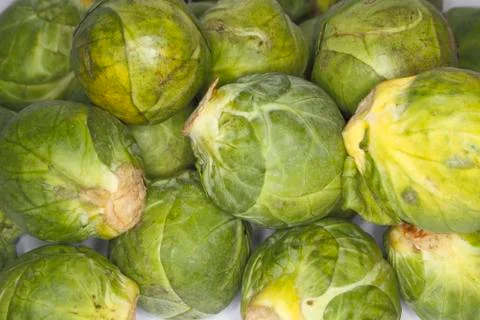 Brussels sprouts Foto stock