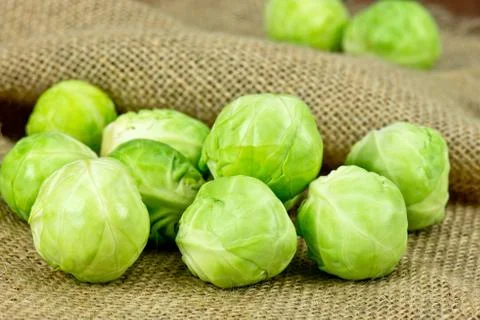 Brussels sprouts Stock Photos