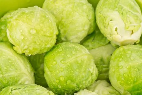 Brussels sprouts Stock Photos