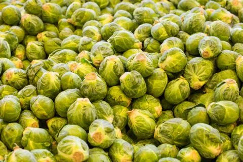 Brussels sprouts Stock Photos