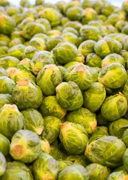 Brussels sprouts Stock Photos